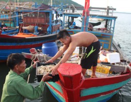 10-1-Opt.jpg